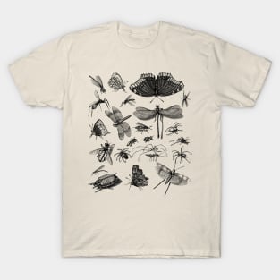 Moth cottagecore, fairycore and goblincore insect moon child T-Shirt